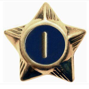 BSA: Service Star - 1 Year
